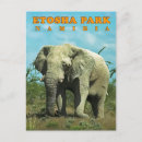 Suche nach etosha postkarten Elefant
