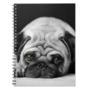 Suche nach traurig kleine notizbücher Hund