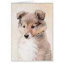 Suche nach blaues merle postkarten Welpe