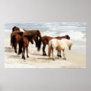 Suche nach wilde pony poster Strand