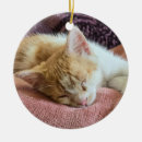 Suche nach kätzchen ornamente Orange