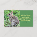 Suche nach bunny visitenkarten Hase