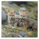 Suche nach südamerika fliesen Umwelt