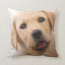 Suche nach labrador kissen Haustiere