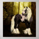 Suche nach sinti und roma vanner poster Pony