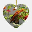 Suche nach monarch butterfly ornamente Blume