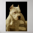 Suche nach hundezuchtverband poster Terrier