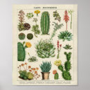 Suche nach kakteen poster Für kinder