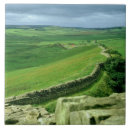 Suche nach anzeigen fliesen Römisch