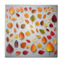 Suche nach herbstlaub fliesen Elegant