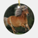 Suche nach miniatur ornamente Foto