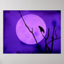 Suche nach crow poster Natur