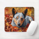 Suche nach rind mousepads Australische rinder