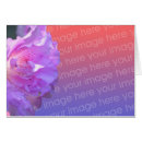 Suche nach hübsche blume fotokarten Natur