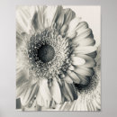 Suche nach blumenfoto poster Blumig