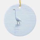 Suche nach reiher ornamente Fotografie