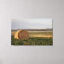 Suche nach landwirtschaft leinwandbilder Ländlich