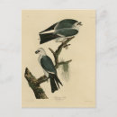 Suche nach kite postkarten Darstellung