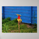 Suche nach fink poster Natur