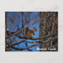 Suche nach niedlich tier fotos postkarten Fotografie