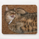 Suche nach einfach lustig mousepads Katze