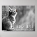 Suche nach inspirierend katzen poster Zitat