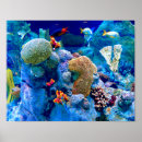 Suche nach exotische fische kunst poster Riff