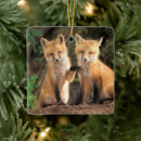 Suche nach bau ornamente Rotfuchs