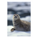Suche nach südost poster Alaska