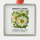 Suche nach daisy ornamente Blume