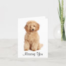 Suche nach apricot karten Hund
