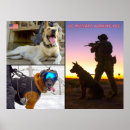 Suche nach k 9 poster Deutscher hirte