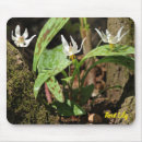 Suche nach forelle mousepads Natur