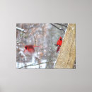 Suche nach kardinal leinwandbilder Roter vogel