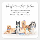 Suche nach kleiner hund visitenkarten Hundshammen