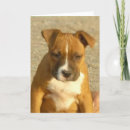 Suche nach hundezuchtverband karten Terrier