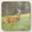 Suche nach wiese untersetzer Wild lebende tiere