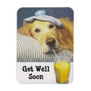 Suche nach goldene retriever magnete Goldgelb