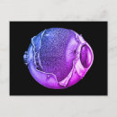 Suche nach augenbrauen postkarten Lustig