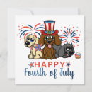 Suche nach onkel sam karten Feuerwerk