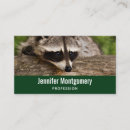 Suche nach raccoons visitenkarten Lustig