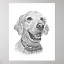 Suche nach golden retriever poster Porträt