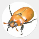 Suche nach weinstock Für ihn