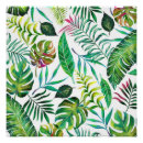 Suche nach bananenblatt poster Natur