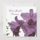 Suche nach lila der orchidee postkarten Mit blumen