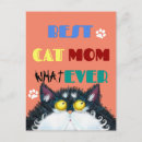 Suche nach alberne katzen postkarten Lustige katze