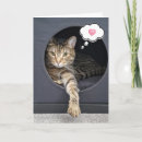Suche nach kat karten Haustier
