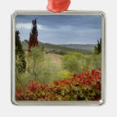 Suche nach olive ornamente Baum