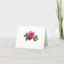 Suche nach lila berge karten Rosa