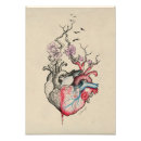 Suche nach vintage anatomie poster Herz